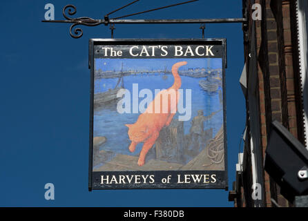 Gasthaus Schild für die Katze zurück Pub, Wandsworth, London, England, mit Namen Brauer, Harveys von lewes Stockfoto