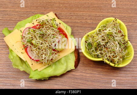 Schüssel mit Luzerne und Radieschen Sprossen grün und frisch zubereitete vegetarische Sandwich auf Holztisch liegend, Stockfoto