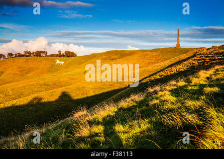 Die weißen Pferd und Lansdowne Monument am Cherhill in Wiltshire. Stockfoto