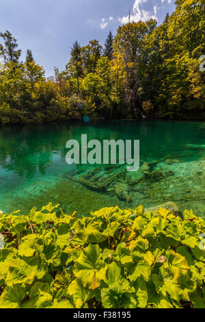 Unberührte Natur des Nationalpark Plitvicer Seen, Kroatien Stockfoto