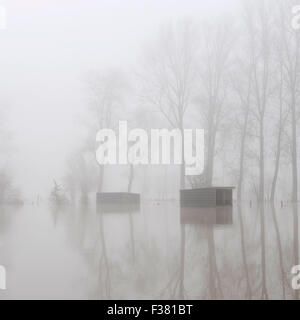Stände und Wiesen in einer überfluteten Landschaft und geheimnisvoller Nebel in der Nähe von De Gavers in Geraardsbergen, entlang des Flusses Dender Stockfoto