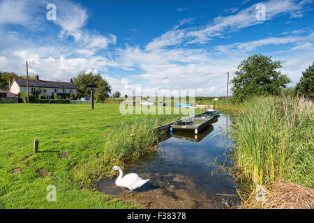 Den Dorfanger in West Somerton in der Nähe von Horsey auf den Norfolk Broads Stockfoto