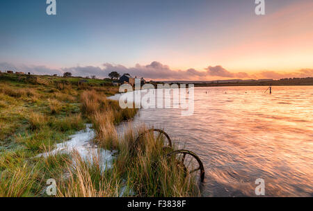 Sonnenaufgang am Dozmary Pool, einen kleinen natürlichen See in Bodmin Moor in Cornwall Stockfoto
