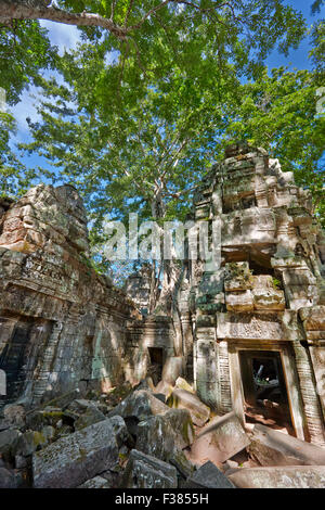 Ta Prohm Tempel. Angkor archäologischer Park, Siem Reap Provinz, Kambodscha. Stockfoto