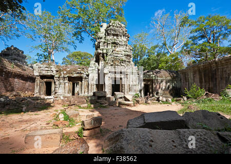 Ta Prohm Tempel. Angkor archäologischer Park, Siem Reap Provinz, Kambodscha. Stockfoto