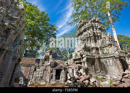 Ruinen von Ta Prohm Tempel. Angkor Archäologischer Park, Provinz Siem Reap, Kambodscha. Stockfoto