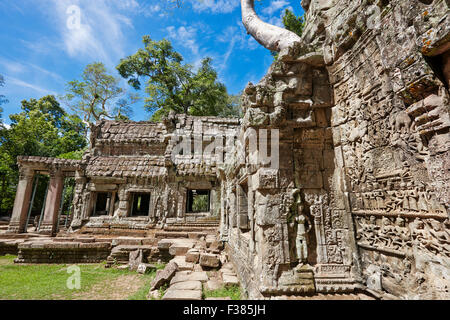 Bas-Reliefs auf Ta Prohm Tempel. Angkor Archäologischer Park, Provinz Siem Reap, Kambodscha. Stockfoto