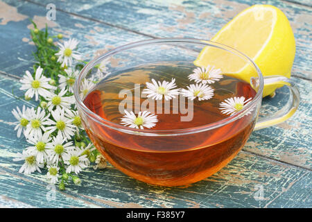 Tasse Kamillentee, frische Kamillenblüten und Zitrone auf rustikalen Holzoberfläche Stockfoto