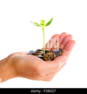 Hand mit Baum wächst aus Haufen von Münzen Stockfoto