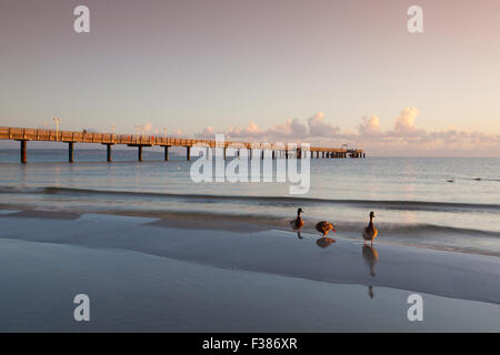 Morgen auf dem Pier in Binz, Insel Rügen, Deutschland Stockfoto