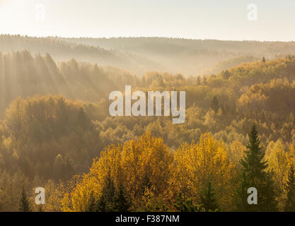 A beautiful autumnal morning at Nuuksio national park Stockfoto