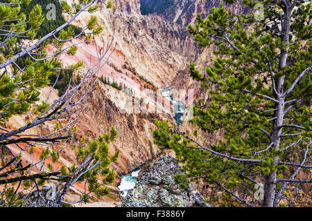 Im Yellowstone National Park, The Yellowstone Fluss fließt durch den Grand Canyon des Yellowstone. Stockfoto
