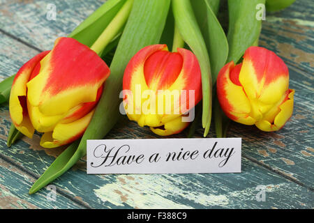 Habe eine schönen Tag-Karte mit drei bunte Tulpen auf rustikale Oberfläche Stockfoto