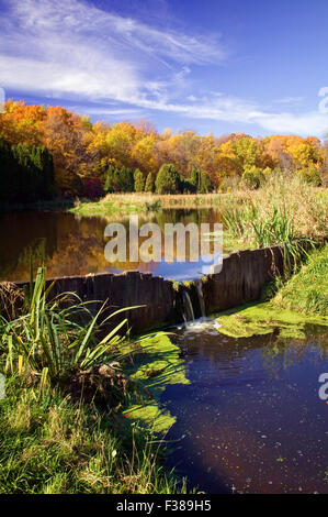 Ein Teich spiegelt den Rückgang der Farbe an der Universität von Minnesota Landscape Arboretum, Chaska, Minnesota. Stockfoto