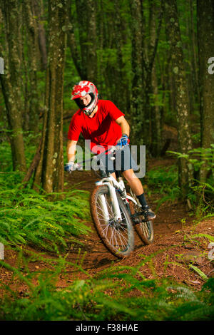 Mountainbiker fahren auf schönen üppigen Waldweg in den Bergen Stockfoto