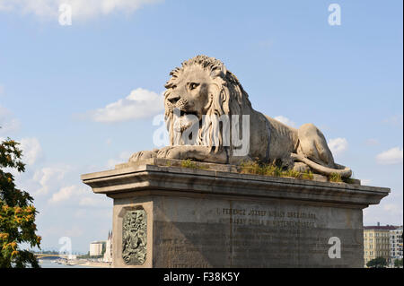 Eine steinerne Löwe Skulptur auf der Kettenbrücke in Budapest, Ungarn. Stockfoto