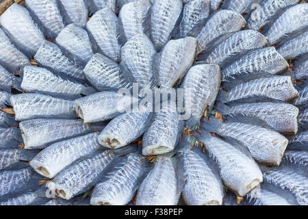 Getrocknete Fishs lokale Speisen im freien Markt Stockfoto