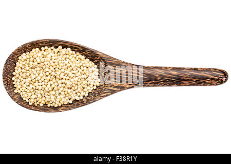 Gluten freie weiße Hirse Korn auf einem Holzlöffel isoliert auf weiss Stockfoto