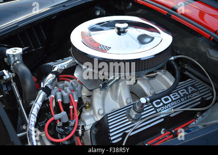 Ein Motor, Shelby Cobra 427 Ford. Stockfoto