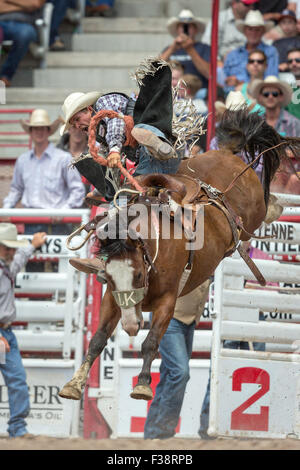 Rookie Sattel Bronc Reiter j.w. Meiers hängt an Pferd James Bond im Cheyenne Frontier Days Rodeo in Frontier Park Arena 24. Juli 2015 in Cheyenne, Wyoming. Frontier Days feiert die Cowboy Traditionen des Westens mit einem Rodeo, Parade und Fair. Stockfoto