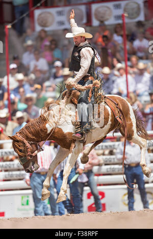 Ein Sattel Bronc Reiter hängt an der bucking Bronco im Cheyenne Frontier Days Rodeo in Frontier Park Arena 24. Juli 2015 in Cheyenne, Wyoming. Frontier Days feiert die Cowboy Traditionen des Westens mit einem Rodeo, Parade und Fair. Stockfoto