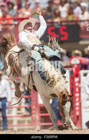 Ein Sattel Bronc Reiter hängt an der bucking Bronco im Cheyenne Frontier Days Rodeo in Frontier Park Arena 24. Juli 2015 in Cheyenne, Wyoming. Frontier Days feiert die Cowboy Traditionen des Westens mit einem Rodeo, Parade und Fair. Stockfoto