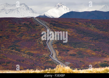 Die Trans-Alaska-Pipeline zieht sich durch die bergige Landschaft Alaska Stockfoto