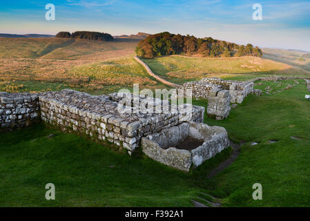 Die römische Mauer bei Housesteads Stockfoto