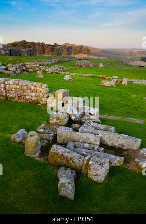 Die römische Mauer bei Housesteads Stockfoto