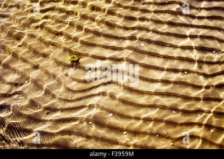 Meer unten Textur Stockfoto