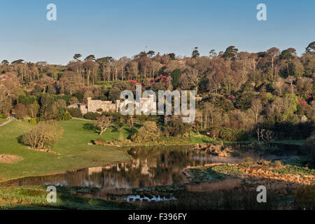 Caerhays Castle, St. Austell, Cornwall, UK, gebaut c.1810. Die Gärten halten die größte Sammlung von Magnolien in England Stockfoto