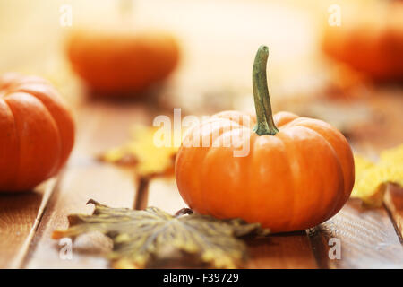 Herbst-Kürbis-Hintergrund Stockfoto