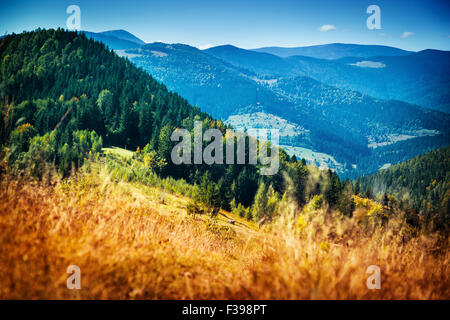 Schöne Berglandschaft, Blick auf hohe Berge, bedeckt mit Kiefer, Herbst, Natur Stockfoto