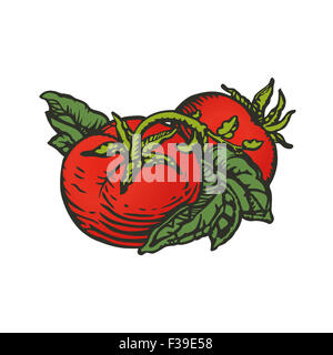 Paar Tomaten in Holzschnitt Druckformat Stockfoto