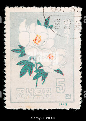 Nordkorea - ca. 1963: Eine Briefmarke gedruckt in Nordkorea zeigt eine japanische Rose, Rosa Rugosa, ca. 1963 Stockfoto