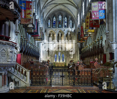 St. Patricks Cathedral Dublin Chor Stockfoto