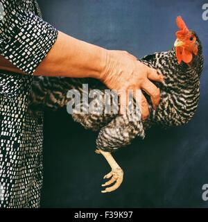 Seitenansicht einer Frau Holding Henne Stockfoto