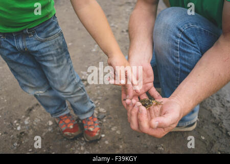 Junge zeigt auf eine Schnecke in des Vaters Hände Stockfoto