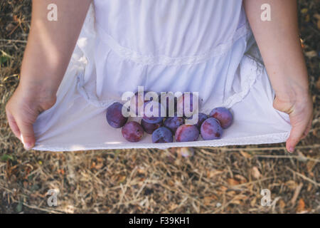 Nahaufnahme eines Mädchens tragen frisch gepflückt Pflaumen in ihrem Kleid Stockfoto