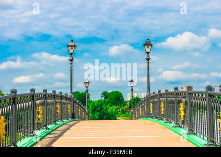 Brücke in Zarizyno Park, Moskau, Russland, Europa Stockfoto
