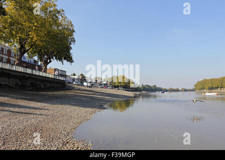 Putney, SW-London, UK. 2. Oktober 2015. Eine weitere feine Sonnentag auf der Themse in Putney, mit Temperaturen bis zu einem warmen 18 Grad. Bildnachweis: Julia Gavin UK/Alamy Live-Nachrichten Stockfoto