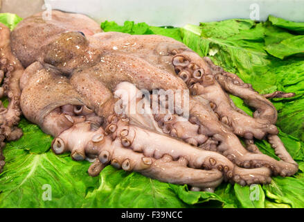 Frischer Tintenfisch Salat Blätter in einem Markt Stockfoto