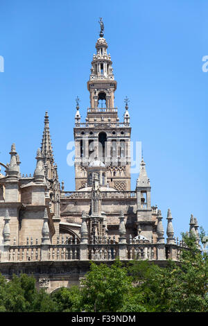 Teil der Kathedrale von Sevilla, Andalusien, Spanien Stockfoto