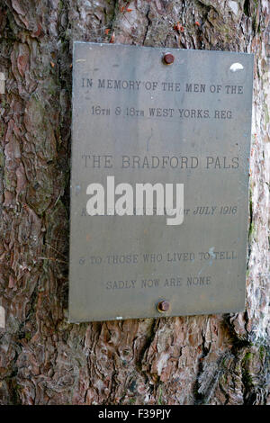 Ergreifende Plaque in Sheffield Memorial Park, von denen viele in der Schlacht an der Somme, 1. Juli 1916 starb, Bradford-Pals Stockfoto