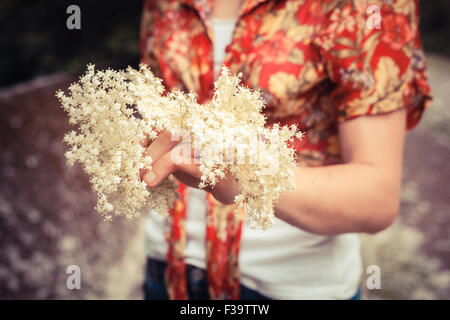 Eine junge Frau steht in der Natur und halten eine Reihe von Holunderblüten Stockfoto