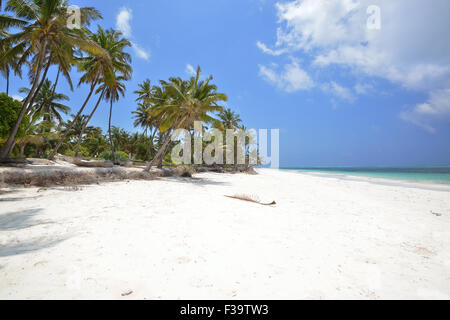 Zanzibar Stockfoto