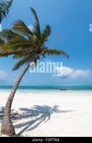 Zanzibar Stockfoto