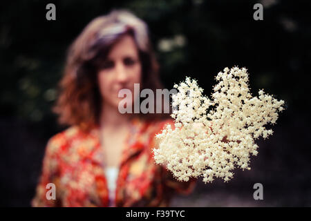 Eine junge Frau hält eine Reihe von Holunderblüten, die sie gewählt hat Stockfoto