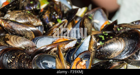 Ein Gericht aus Muscheln Bilder mit Tomatensauce, offen, bereit um zu essen, in einer Tabelle zu verbreiten. Stockfoto