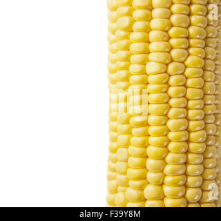 Makroaufnahme von Reife Maiskörner Stockfoto